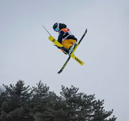 Wyniki męskiego freestyle skiing big air na Zimowych Igrzyskach 2026