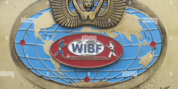 Agnieszka Rylik: Ikona Polskiego Boksu