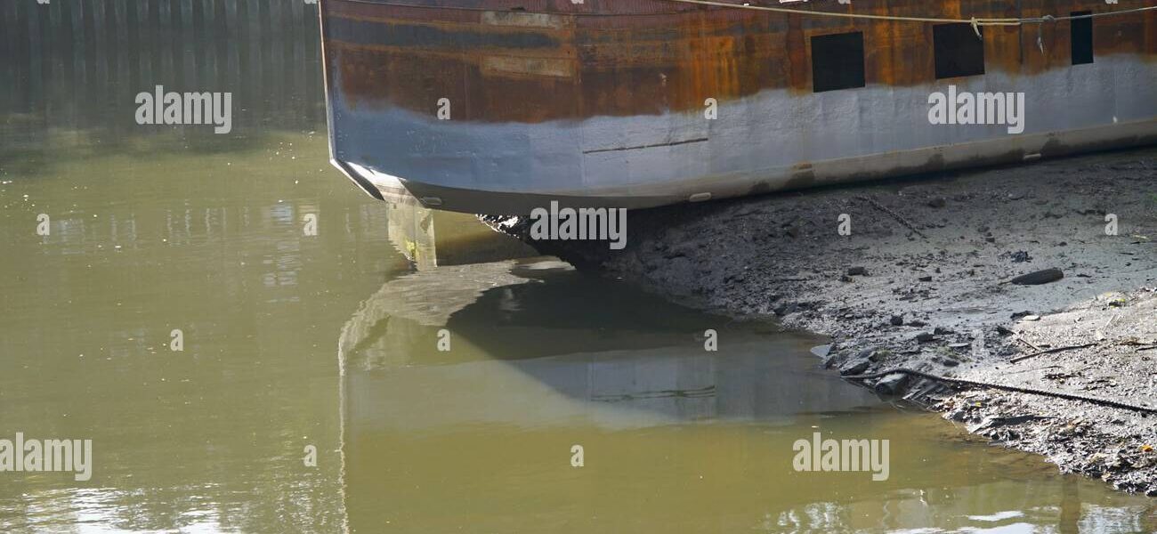 Brentford – Klub piłkarski w sercu Premier League