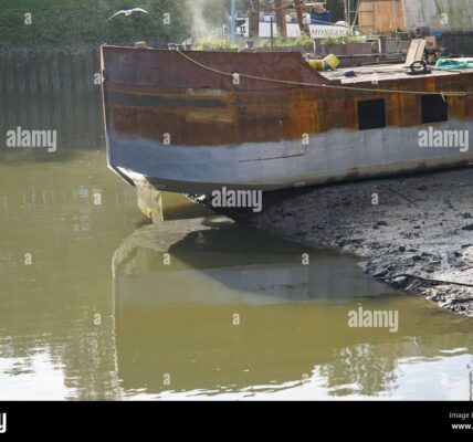 Brentford – Klub piłkarski w sercu Premier League