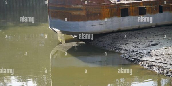 Brentford – Klub piłkarski w sercu Premier League