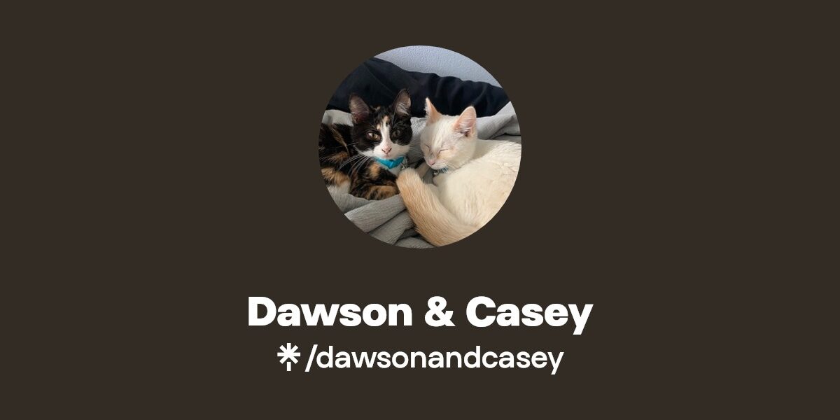 Casey Dawson: Nowy talent w świecie sztuki i kultury