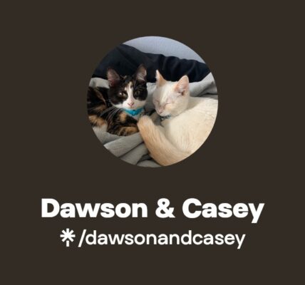 Casey Dawson: Nowy talent w świecie sztuki i kultury