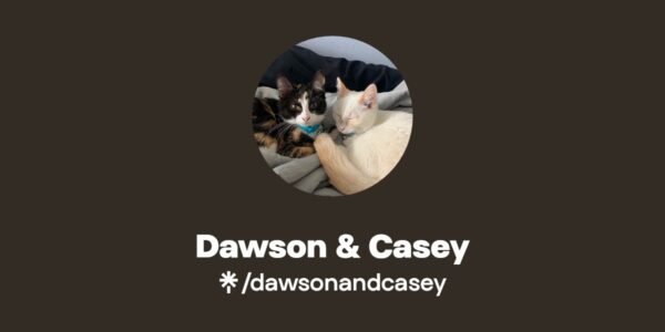 Casey Dawson: Nowy talent w świecie sztuki i kultury