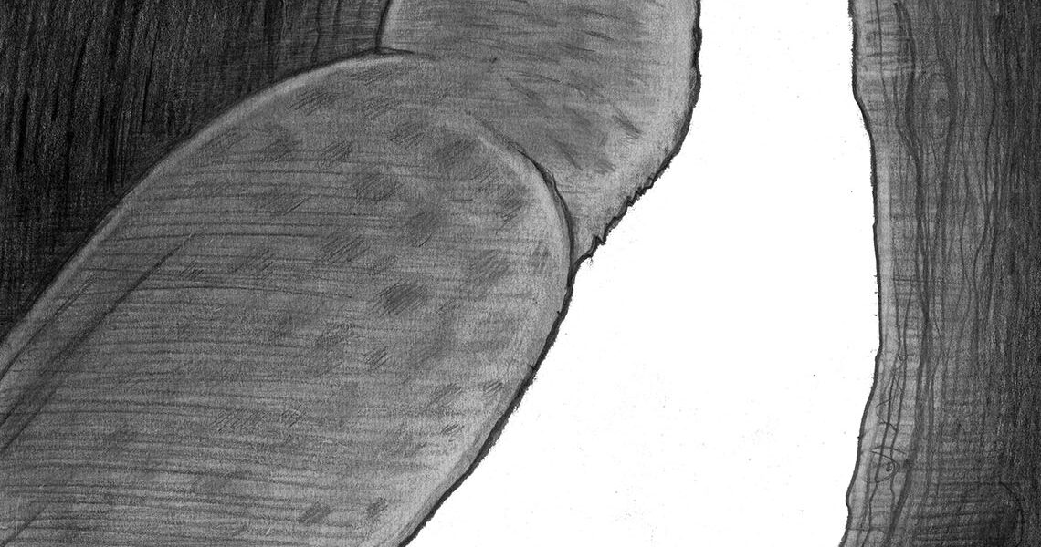 Ewakuacja: Znaczenie, Przykłady i Przyszłość