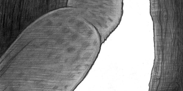 Ewakuacja: Znaczenie, Przykłady i Przyszłość