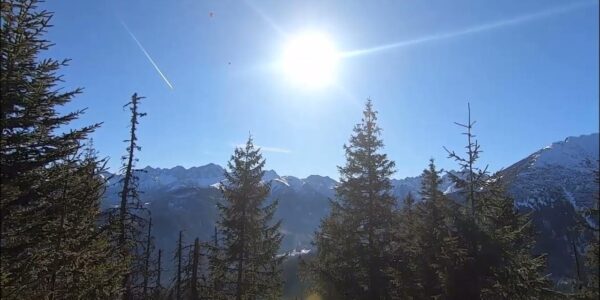 Gęsia nóżka Radziejów – tradycja i smak regionu