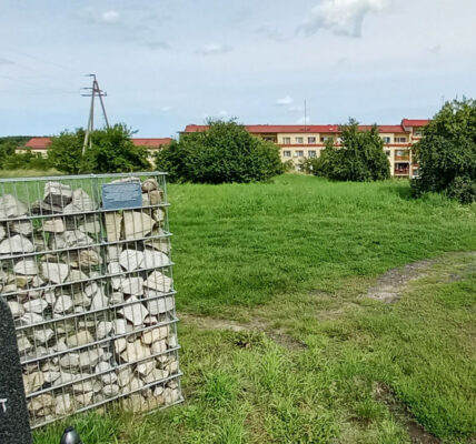 Znaczenie Gostynina w Polsce i jego historia