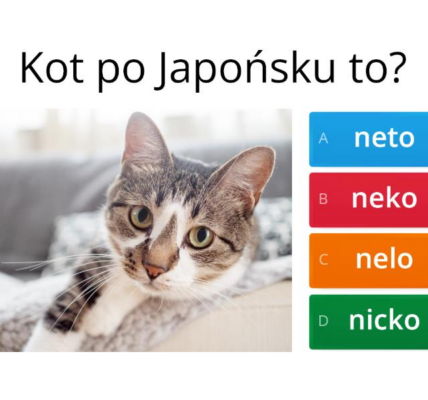 Odkryj Japonię: Kraj Tradycji i Innowacji