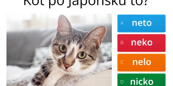 Odkryj Japonię: Kraj Tradycji i Innowacji