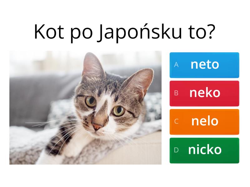 Odkryj Japonię: Kraj Tradycji i Innowacji