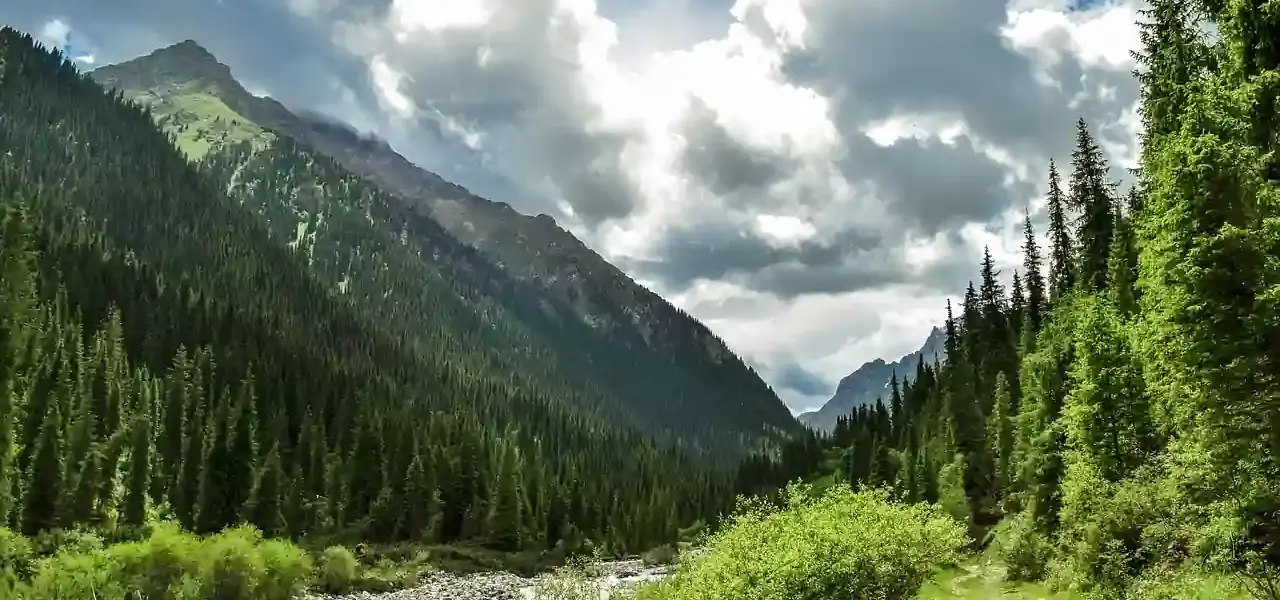 Kazachstan: Wzrost znaczenia na arenie międzynarodowej