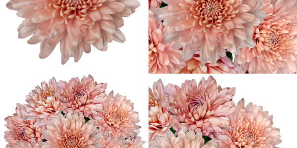 Magda Linette – Polska gwiazda na WTA Finals 2023