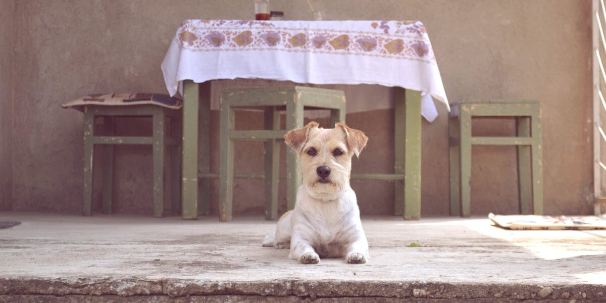 Lollobrigida: Życie i dziedzictwo ikony filmowej