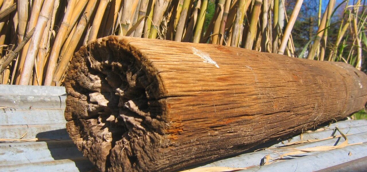 Madera: Innowacyjny materiał w budownictwie i designie