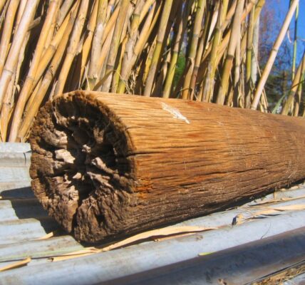 Madera: Innowacyjny materiał w budownictwie i designie