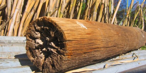 Madera: Innowacyjny materiał w budownictwie i designie