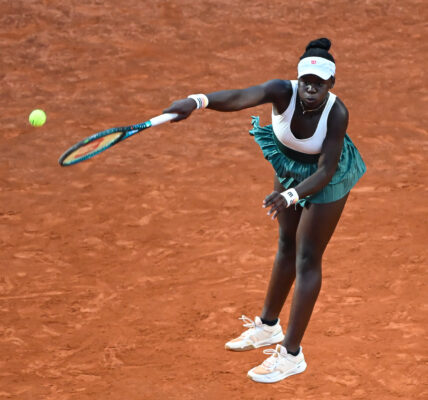 Mboko: Co to jest i dlaczego jest ważne?