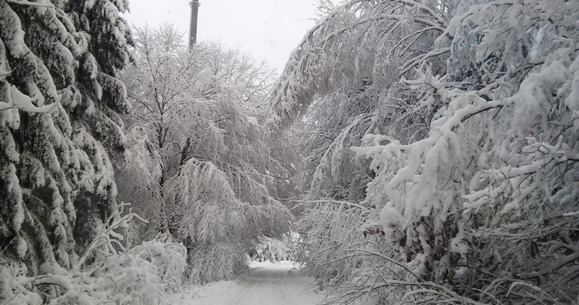 Opady śniegu w Polsce – sytuacja na sezon zimowy 2023
