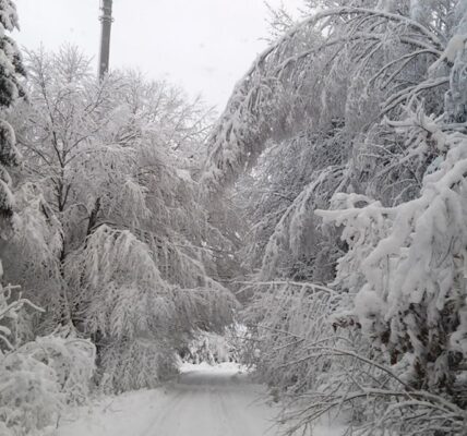 Opady śniegu w Polsce – sytuacja na sezon zimowy 2023