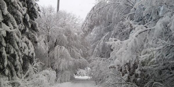 Opady śniegu w Polsce – sytuacja na sezon zimowy 2023