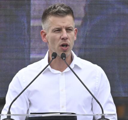 Peter Magyar – Kontrowersyjny Sędzia w Polskim Sądzie