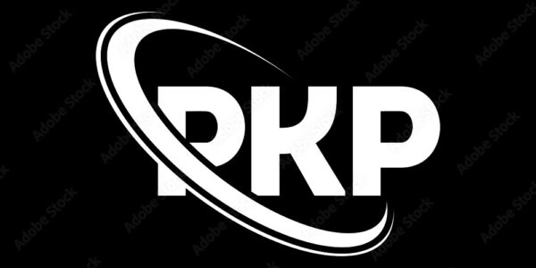 PKP – Kluczowe informacje o polskim transporcie kolejowym