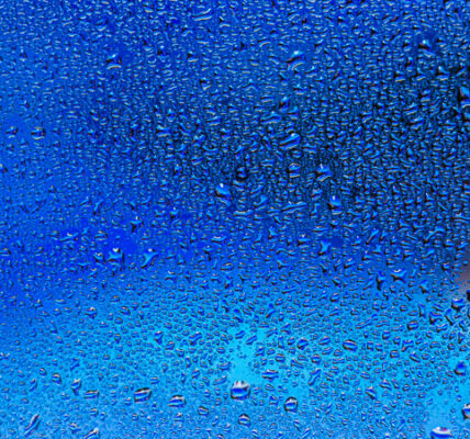 Prognoza Pogody w Gdyni: Co Nas Czeka?