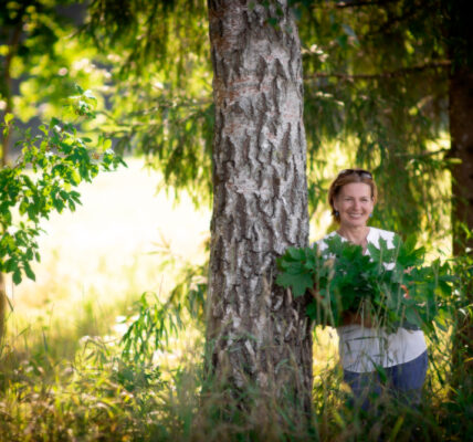 Aktualna prognoza pogody dla Opola na najbliższe dni