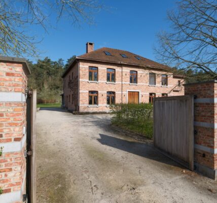 Rzeczywistość i jej znaczenie w codziennym życiu