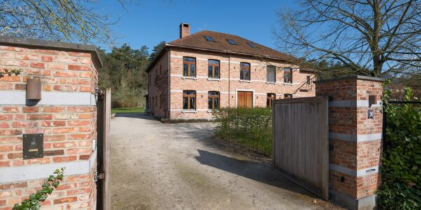 Rzeczywistość i jej znaczenie w codziennym życiu