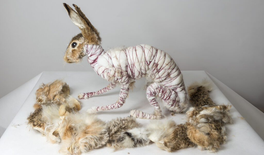 Rogalska – Wpływowa Artystka w Polskim Krajobrazie Sztuki