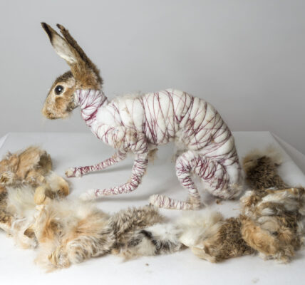 Rogalska – Wpływowa Artystka w Polskim Krajobrazie Sztuki