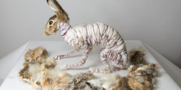 Rogalska – Wpływowa Artystka w Polskim Krajobrazie Sztuki