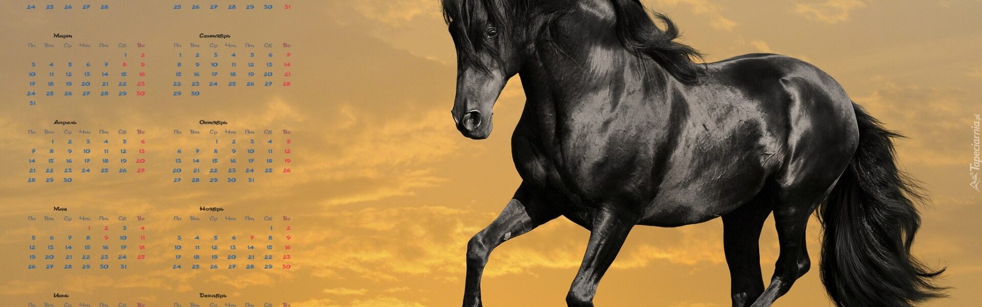 Rok konia 2023 – znaczenie i przewidywania