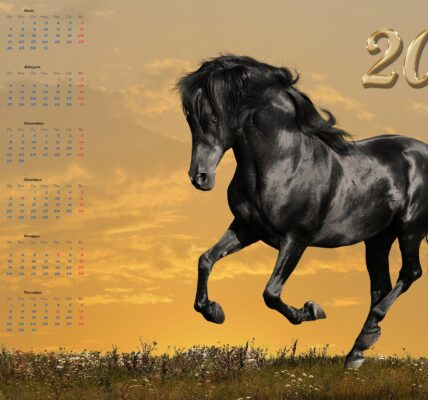 Rok konia 2023 – znaczenie i przewidywania