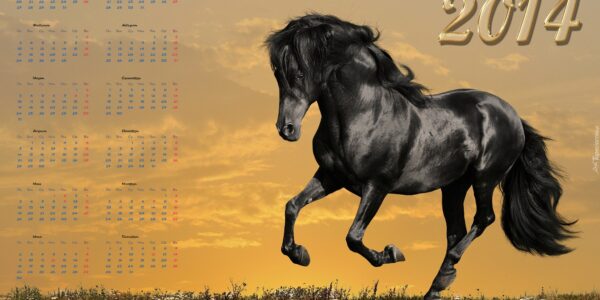 Rok konia 2023 – znaczenie i przewidywania