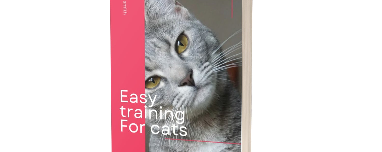 Scotty James: Osobowość Światowego Snowboardingu