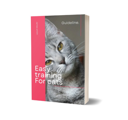 Scotty James: Osobowość Światowego Snowboardingu