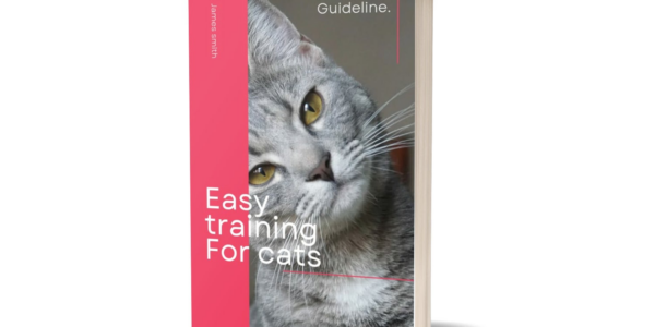 Scotty James: Osobowość Światowego Snowboardingu