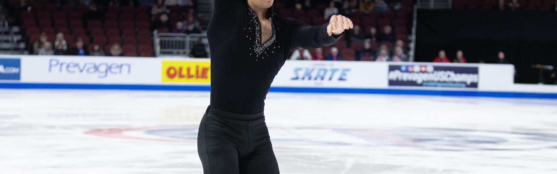 Stellato Dudek: Nowe Wydarzenia w Polskiej Kulturze