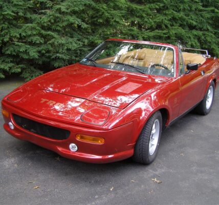 Znaczenie Triumfów w Sporcie i Kulturze