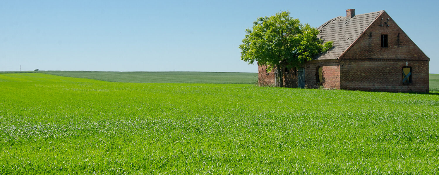 Dopłaty dla trwałych użytków zielonych w 2023 roku