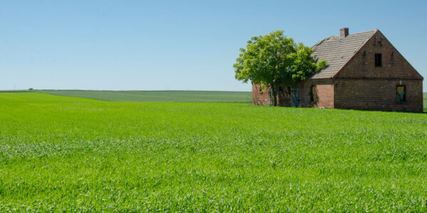 Dopłaty dla trwałych użytków zielonych w 2023 roku