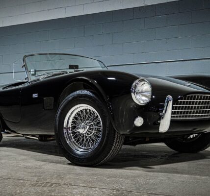 Aktualności z TVN Warszawa: Co nowego w stolicy?