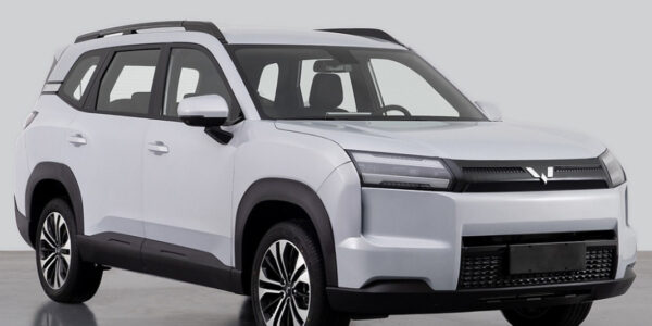 Wellinger – Złoty skoczek narciarski, który zaskakuje świat