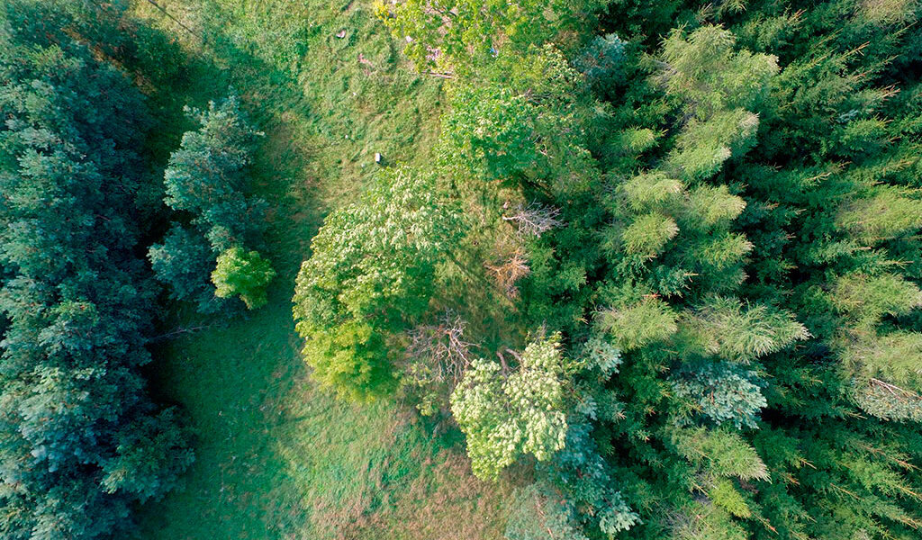 Wydminy – malownicza miejscowość Mazur