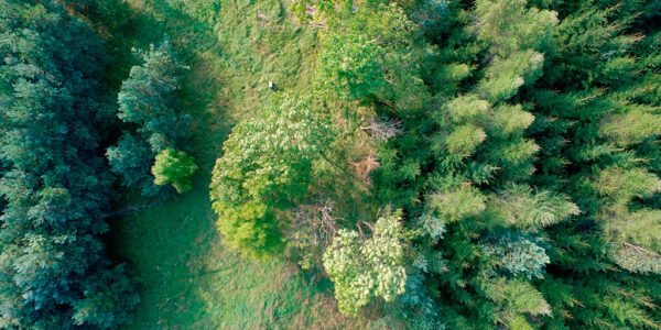 Wydminy – malownicza miejscowość Mazur