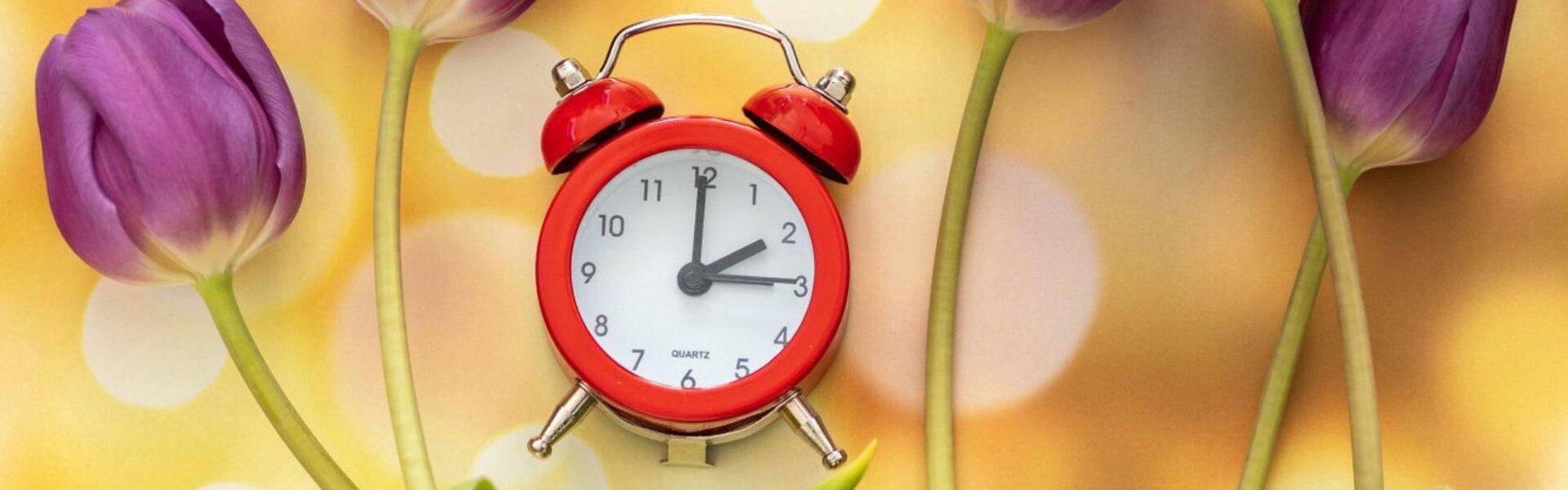 Zmiana czasu w Polsce: co musisz wiedzieć w 2023 roku