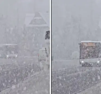 26 marca — PL news